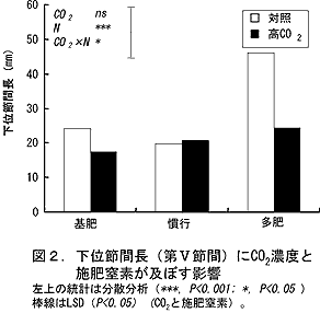 図2 下位節間長(第V節間)にCO2濃度と施肥窒素が及ぼす影響