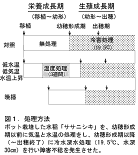図1 処理方法