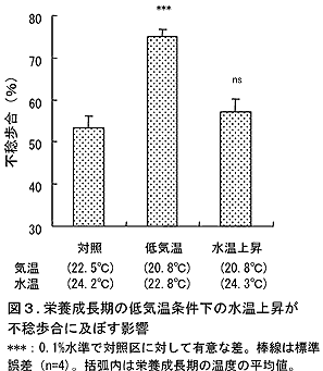 図3 栄養成長期の低気温条件下の水温上昇が不稔歩合に及ぼす影響