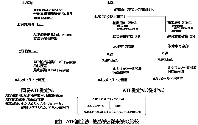 図1 ATP測定法 簡易法と従来法の比較