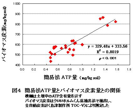 図4 簡易法ATP量とバイオマス炭素量との関係
