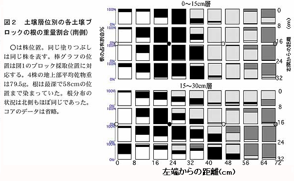 図2 土壌層位別の各土壌ブロックの根の重量割合(南側)