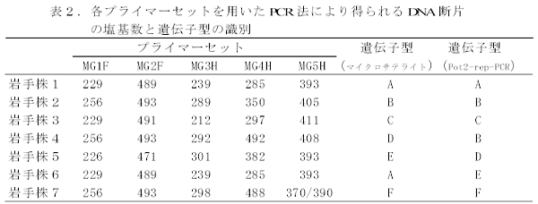 表2.各プライマーセットを用いたPCR法により得られるDNA断片
の塩基数と遺伝子型の識別