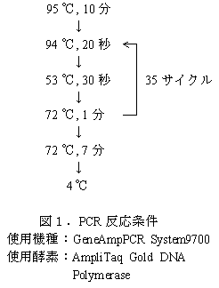 図1.PCR反応条件