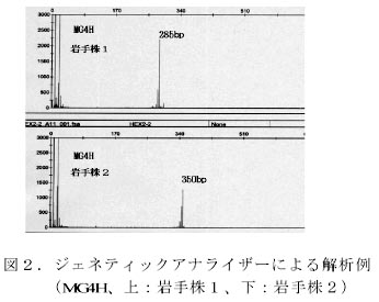 図2.ジェネティックアナライザーによる解析例