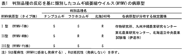 表1 判別品種の反応を基に類別したコムギ縞萎縮ウイルス(WYMV)の病原型