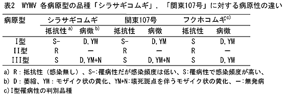 表2 WYMV各病原型の品種「シラサギコムギ」、「関東107号」に対する病原性の違い