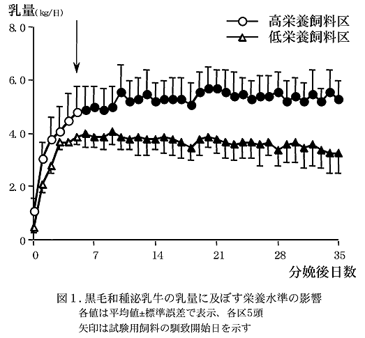 図1. 黒毛和種泌乳牛の乳量に及ぼす栄養水準の影響