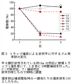 図3 トラップ捕殺による放牧牛に対するブユ飛 来数の変化