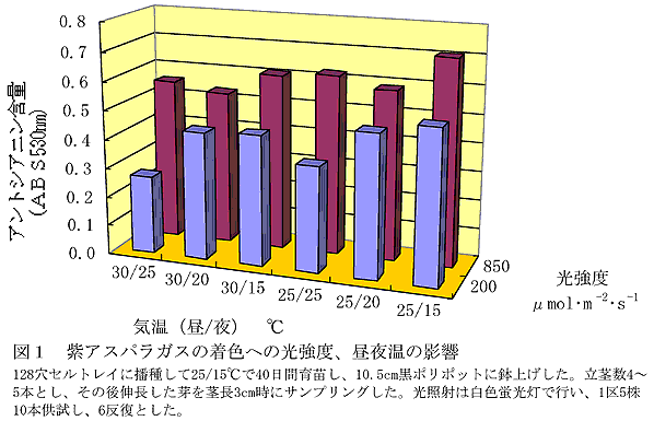 図1 紫アスパラガスの着色への光強度