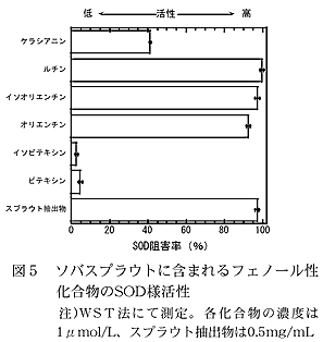 図5 ソバスプラウトに含まれるフェノール性化合物のSOD様活性