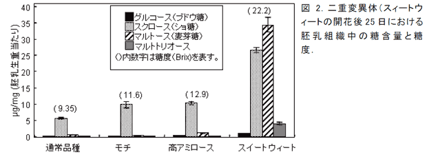 図2.二重変異体(スィートウィートの開花後25 日における胚乳組織中の糖含量と糖度.