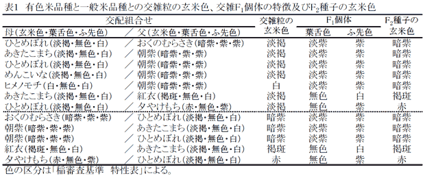 表1 有色米品種と一般米品種との交雑粒の玄米色、交雑F1個体の特徴及びF2種子の玄米色