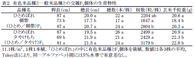 表2 有色米品種と一般米品種との交雑F1個体の生育特性