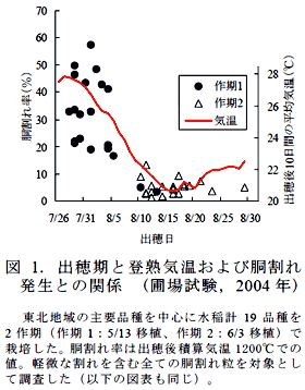 図1. 出穂期と登熟気温および胴割れ発生との関係 (圃場試験,2004 年)
