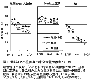 図1.飼料イネの登熟期の水分含量の推移の一例