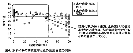 図4.飼料イネの籾黄化率と止め葉葉色値の関係