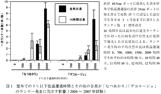 図1 屋外での5°C以下低温遭遇時間とその後の日長が「なつあかり」「デコルージュ」のランナー発生に及ぼす影響(2004 ～ 2005 年試験)