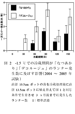図2 -1.5 °Cでの冷蔵期間が「なつあかり」「デコルージュ」のランナー発生数に及ぼす影響(2004 ~ 2005 年試験)