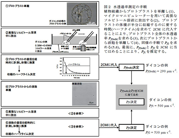 図2 水透過率測定の手順