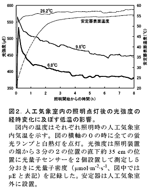 図2.人工気象室内の照明点灯後の光強度の経時変化に及ぼす低温の影響