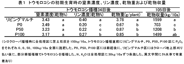 表1 トウモロコシの初期生育時の窒素濃度、リン濃度、乾物重および乾物収量