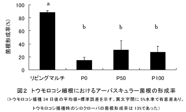 図2 トウモロコシ細根におけるアーバスキュラー菌根の形成率