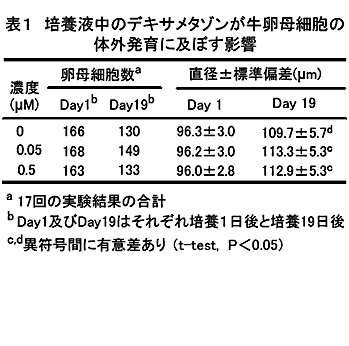 表1 培養液中のデキサメタゾンが牛卵母細胞の体外発育に及ぼす影響