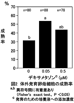 図2 体外発育卵母細胞の成熟率