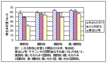 表3 食味官能試験の成績