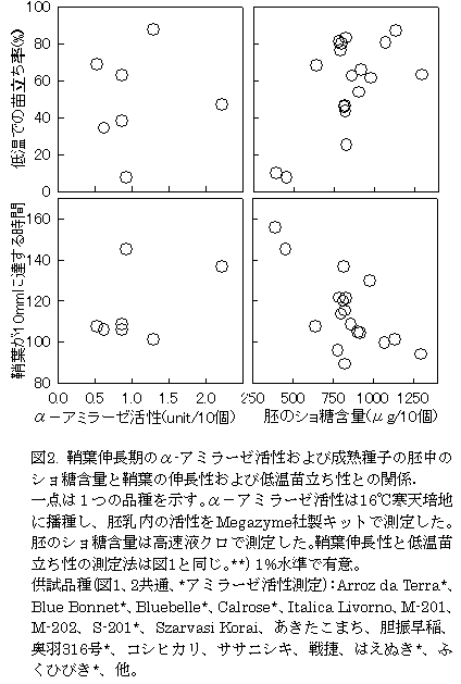 図2. 鞘葉伸長期のα-アミラーゼ活性および成熟種子の胚中の ショ糖含量と鞘葉の伸長性および低温苗立ち性との関係.