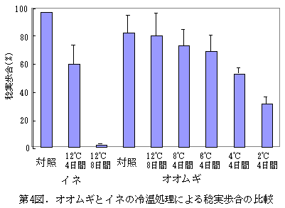 第4図. オオムギとイネの冷温処理による稔実歩合の比較