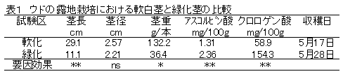 表1 ウドの露地栽培における軟白茎と緑化茎の比較