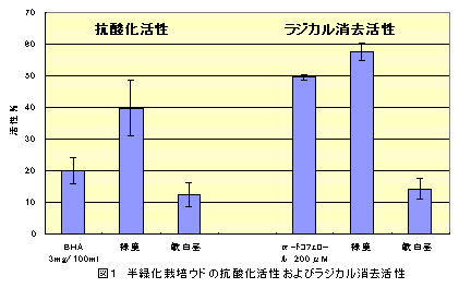 図1 半緑化栽培ウドの抗酸化活性およびラジカル消去活性