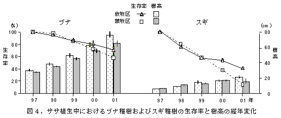 図4.ササ植生中におけるブナ稚樹およびスギ稚樹の生存率と樹高の経年変化