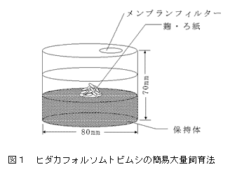 図1 ヒダカフォルソムトビムシの簡易大量飼育法