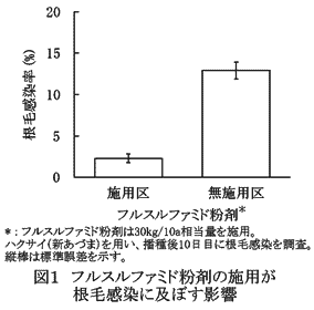 図1 フルスルファミド粉剤の施用が根毛感染に及ぼす影響