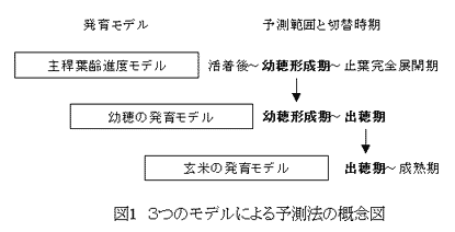 図1 3つのモデルによる予測法の概念図