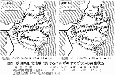 図2 秋田県仙北地域におけるハルザキヤマガラシの発生状況