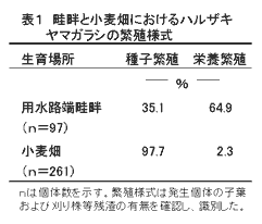 表1 畦畔と小麦畑におけるハルザキ ヤマガラシの繁殖様式