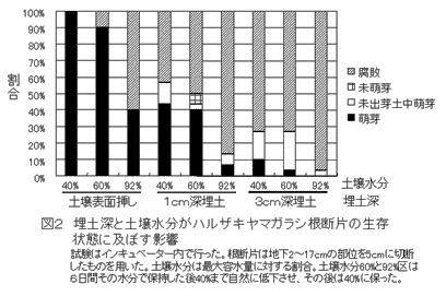図2 埋土深と土壌水分がハルザキヤマガラシ根断片の生存状態に及ぼす影響