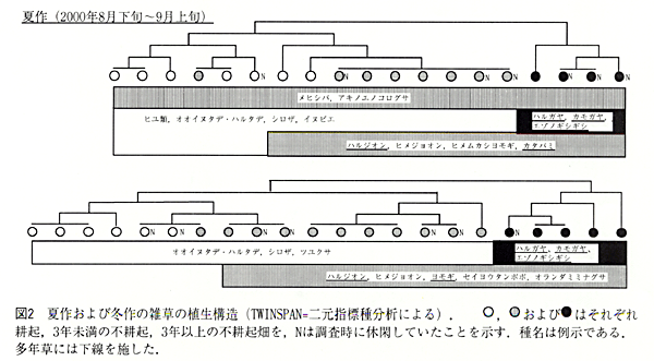 図2 夏作および冬作の雑草の植生構造.