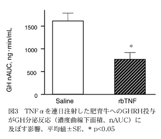 図3.TNFαを連日注射した肥育牛へのGHRH投与がGH分泌反応(濃度曲線下面積、nAUC)に及ぼす影響、平均値±SE、*P<0.05