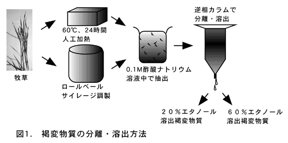 図1.褐変物質の分離・溶出方法