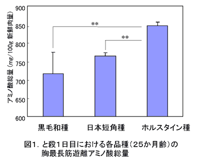 図1.と殺1日目における各品種(25か月齢)の胸最長筋遊離アミノ酸総量