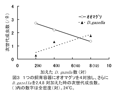 図3.1つの飼育容器にオオマグソを4対放し、さらにD.gazellaを2,4,8対加えた時の次世代成虫数。