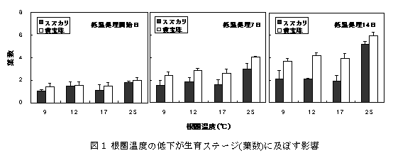 図1 根圏温度の低下が生育ステージ(葉数)に及ぼす影響