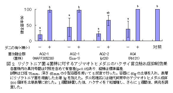 図2. リゾクトニア菌4菌株に対するアヅマオトヒメダニのハクサイ苗立枯れ症抑制効果