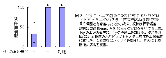 図3. リゾクトニア菌(AG2-2)に対するハバビロ オトヒメダニのハクサイ苗立枯れ症抑制効果
