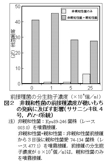 図2 非親和性菌の前接種濃度が穂いもちの発病に及ぼす影響
